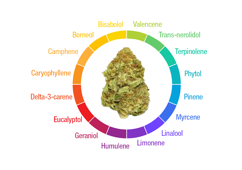 Cannabis Terpenes Analysis